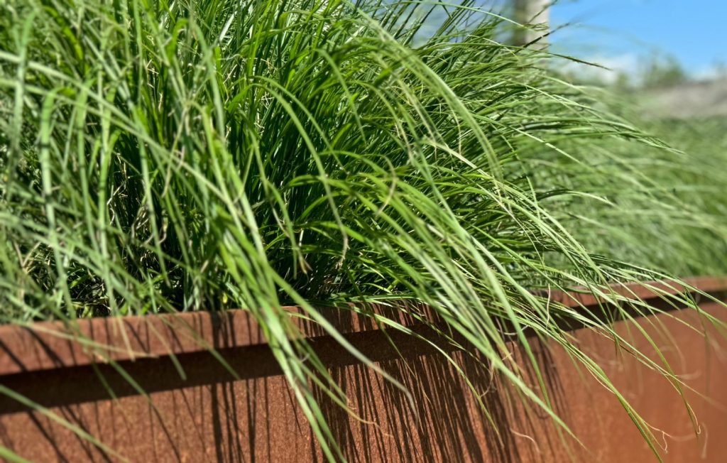 Cortenstalen maatwerk | Cortenstalen afboording | Cortenstaal in de tuin | Cortenstaal Vlaeminck | Cortenstaal | Cortenstaal Oost-Vlaanderen